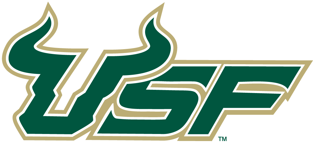 South Florida Bulls 2003-Pres Wordmark Logo v2 iron on transfers for T-shirts